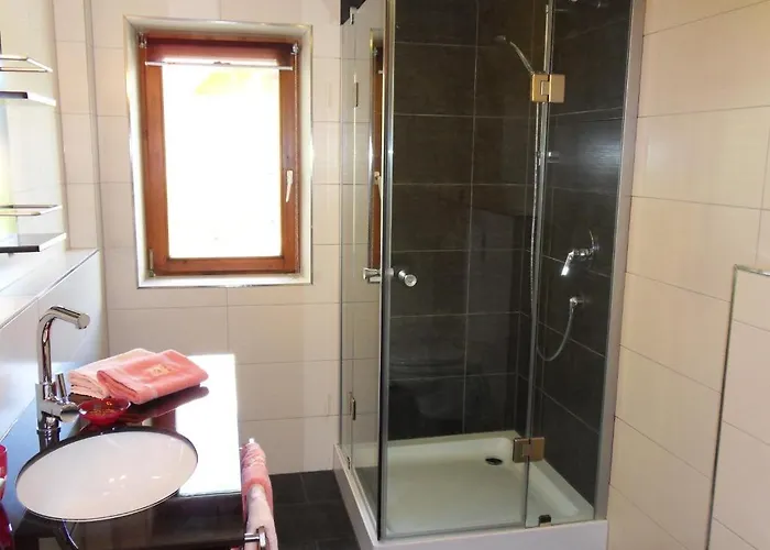 豪斯尔哈特酒店 * 拉迪斯