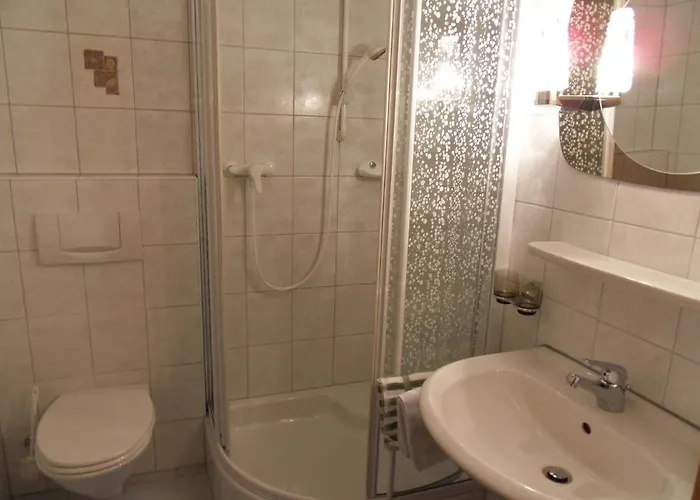 豪斯尔哈特酒店 拉迪斯